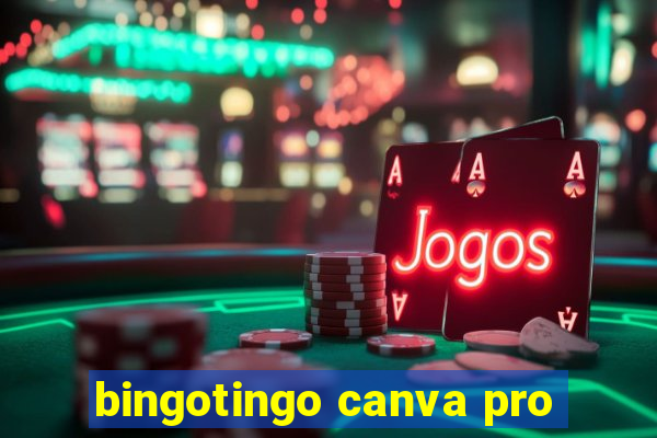 bingotingo canva pro